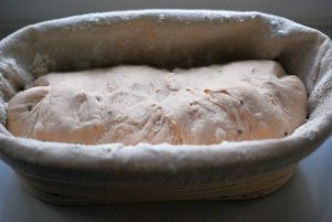Dough in a banettone