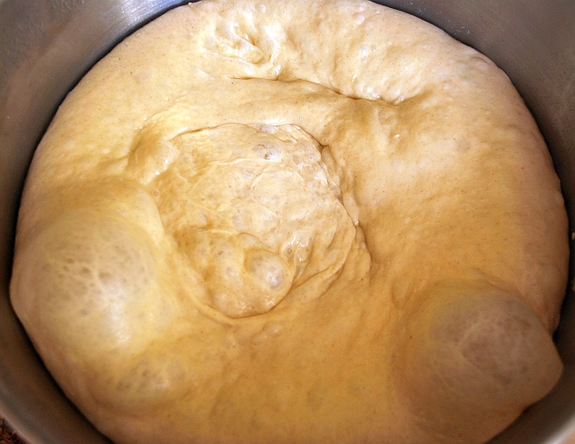 fermented pizza dough