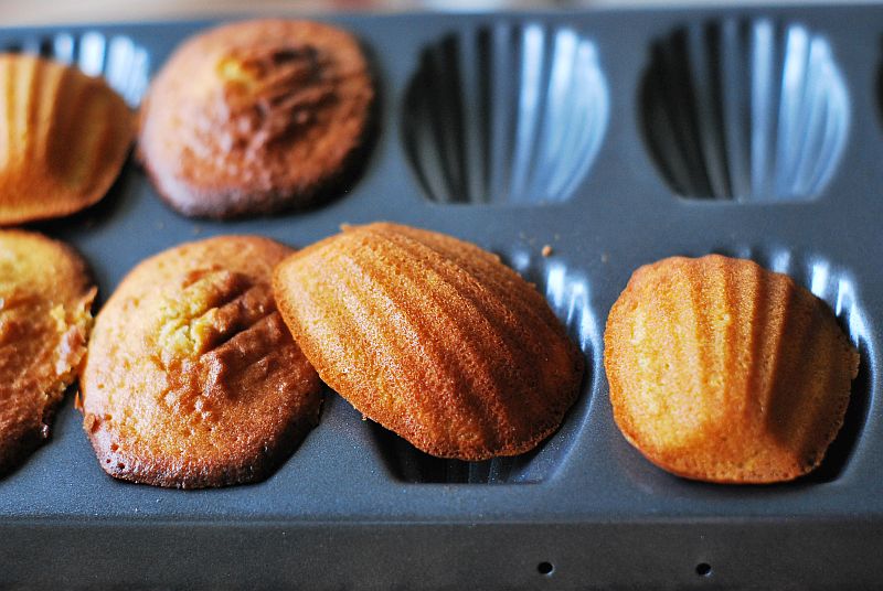 Madeleines tray